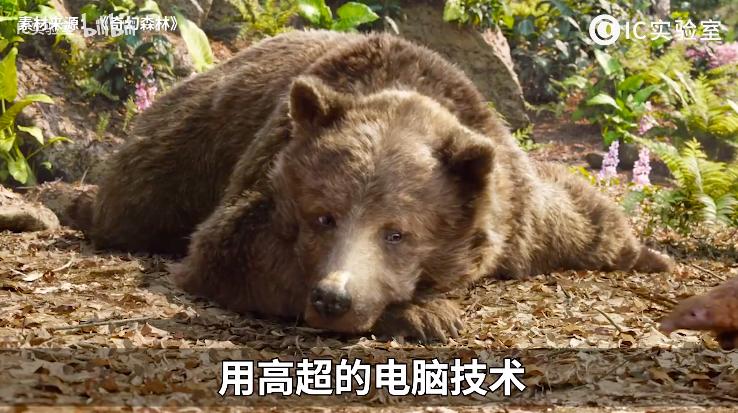 花木兰国内未上映口碑先崩塌,花木兰迪士尼最强公主