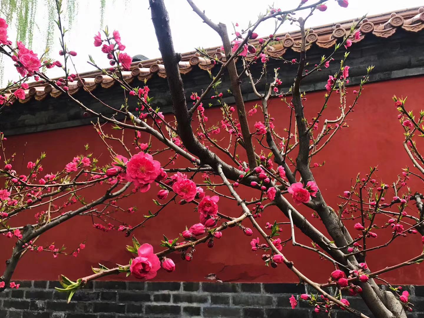 天津北京4日游夏季,天津出发的北京两日游