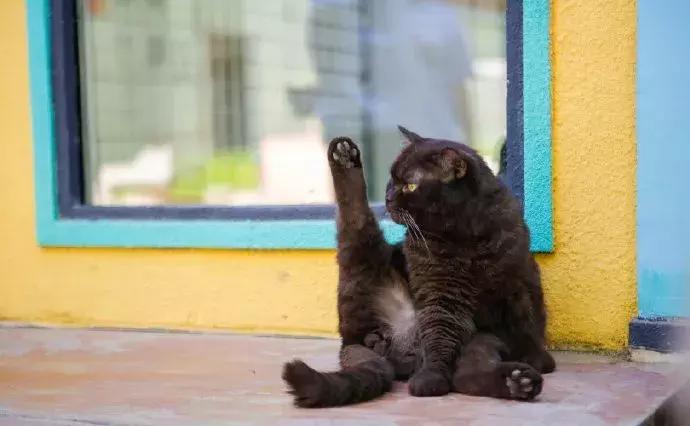 年纪大了老忘事语言表达也不利索,年龄大了忘事怎么办视频