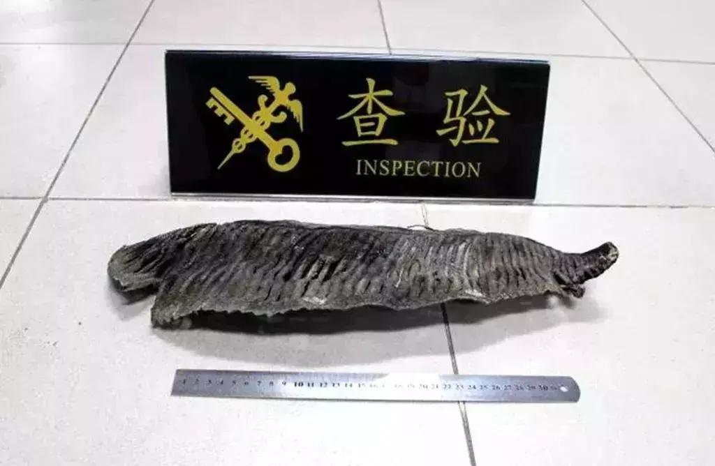 鍙屾棪璐墿璁″垝,璺熸梾娓稿洟鍘婚娓杩囨捣鍏冲悧