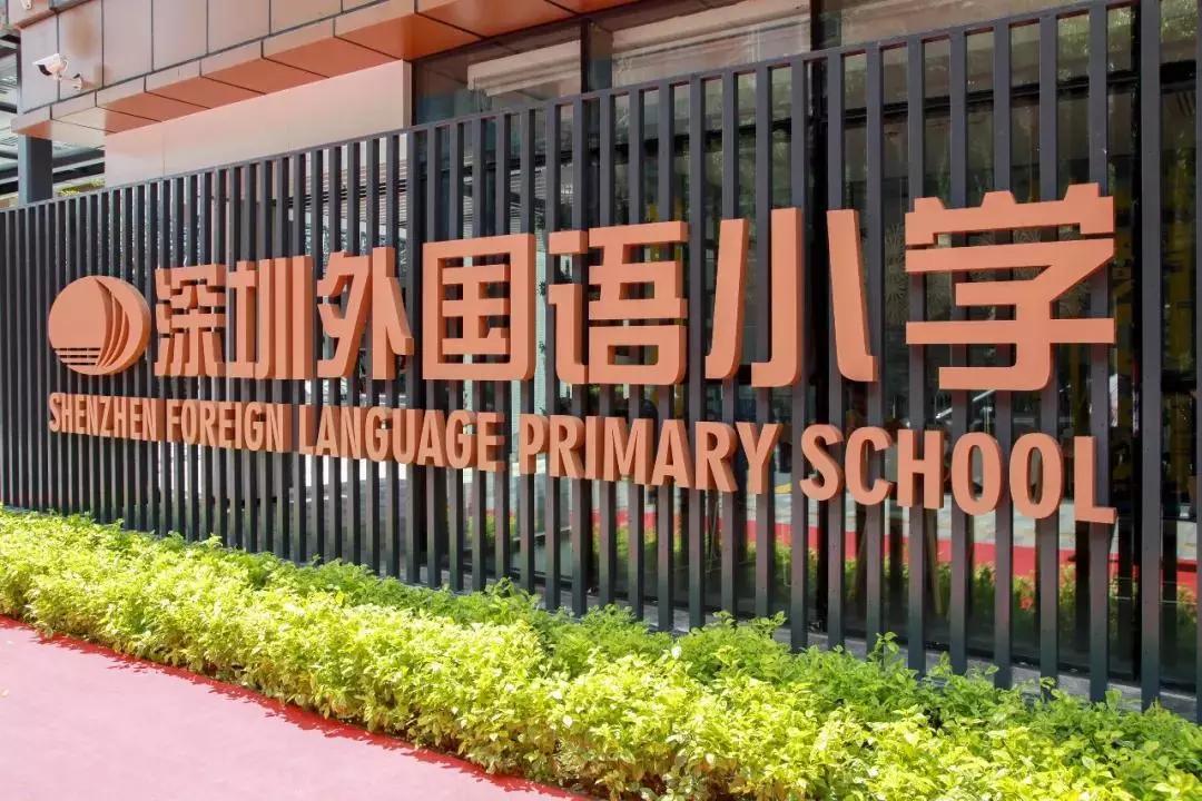 深圳报4个民办学校哪个会录取,深圳报民办学校还能报公办学校吗