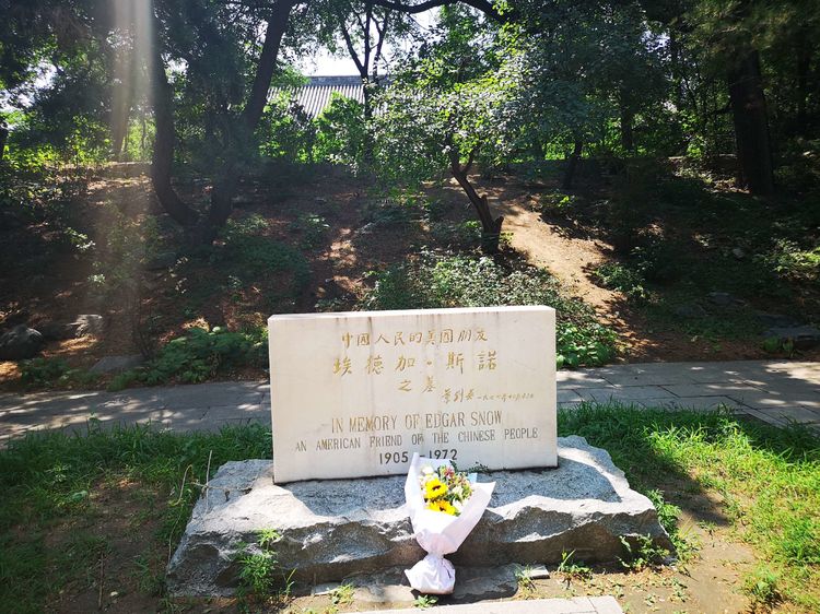 漫步北大校园,北大印象图片