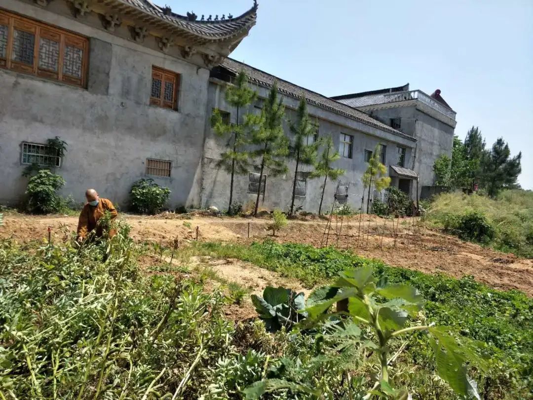 抢抓农时开展农业生产,农民纷纷抢抓春耕生产有利时机