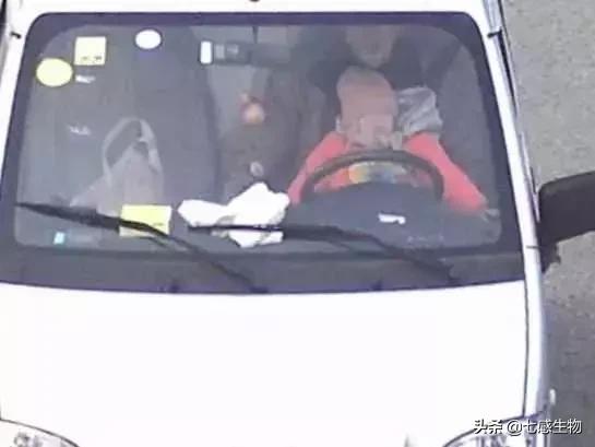 车都压扁了孩子却没事,有娃的家长们都应该学习这些知识