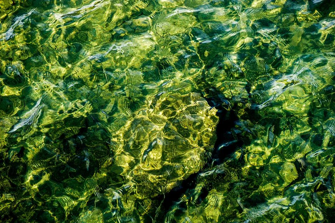 “艳”得失真?不,这就是阳光下的*藏西**洛隆卓玛朗措湖秋色