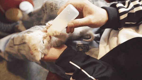 北京宅男独居5层楼,北京宅男住800平房子