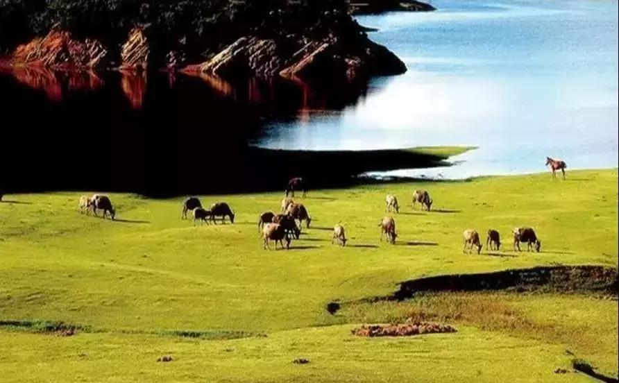 楚雄附近免费露营地有山有水,昆明到楚雄方向一个小时露营地