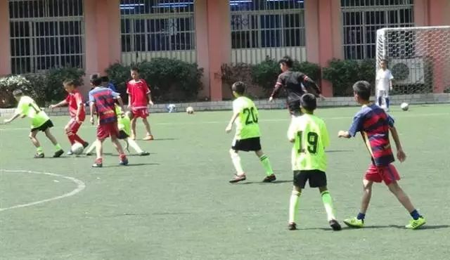 璐靛窞闈掕鍑鸿繃鍥藉瓧鍙风悆鍛樻湁鍑犱釜,璐靛窞鍩瑰吇濂藉瀛︾敓