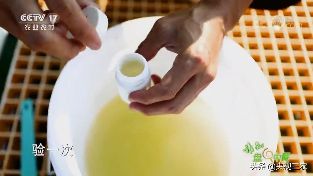 又臭又贵的臭鳜鱼,臭鳜鱼和桂鱼哪个贵呢