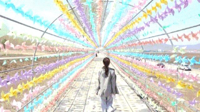 花开倾城彩云岭文旅融合谱新篇“壮丽70年，微眼看家乡”之宝清县篇