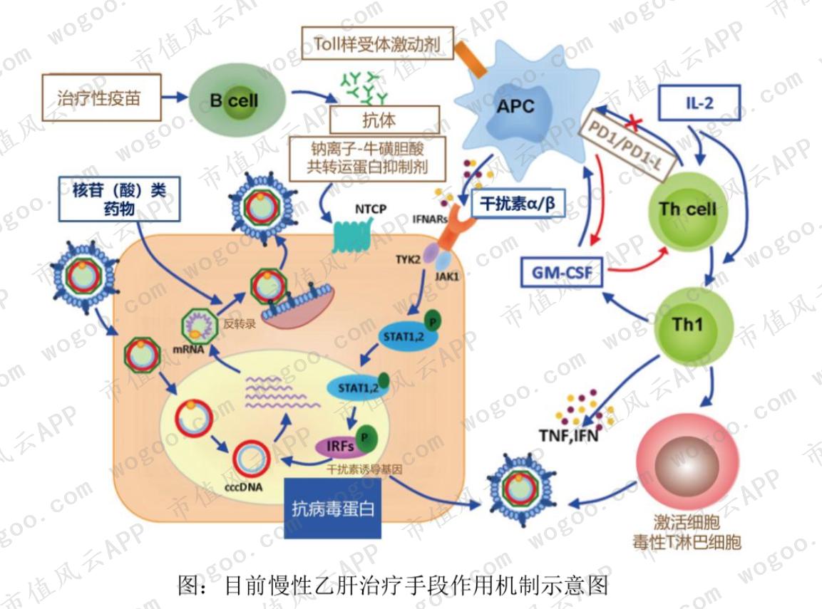 厦门特宝生物科创板最新消息,科创板特宝生物