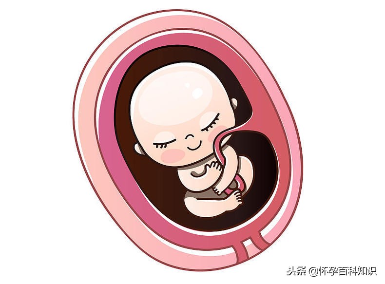 胎儿的第一次胎动原来是这种感觉,准爸爸感受到胎动的表现