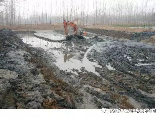 养殖池淤泥怎么去除,池塘起泥皮的原因