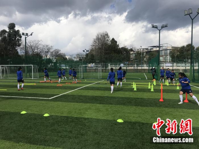 濂宠冻閫夋潗浜烘暟瀵规瘮,濂宠冻闈掕閫夋潗