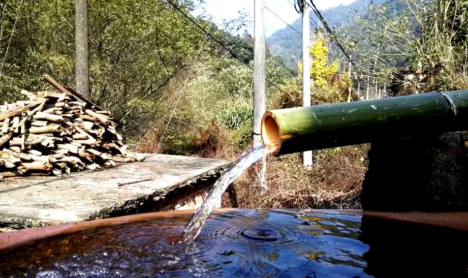 10年前，那个花83元穷游*藏西**的姑娘，后来怎么样了？