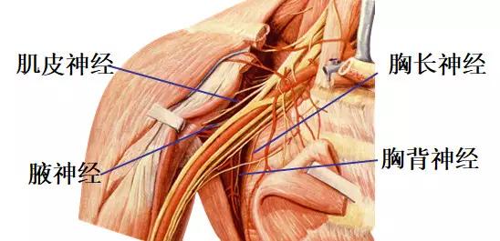 颈椎腰椎疾病ct及mri诊断,腰椎ct可以发现肠部病变吗