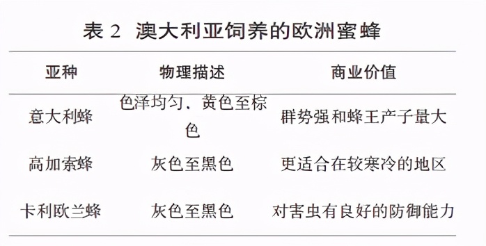 新西兰养蜂生活,澳大利亚养蜂一年收入大概有多少