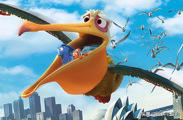 鹈鹕吞猎物到肚子里是怎么样的,鹈鹕会吞掉同类吗