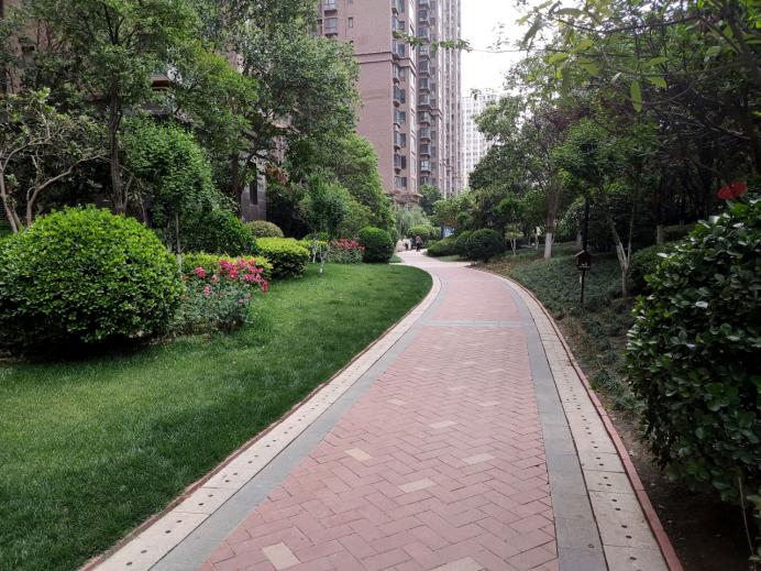 银基王朝最新消息,银基王朝怎么样