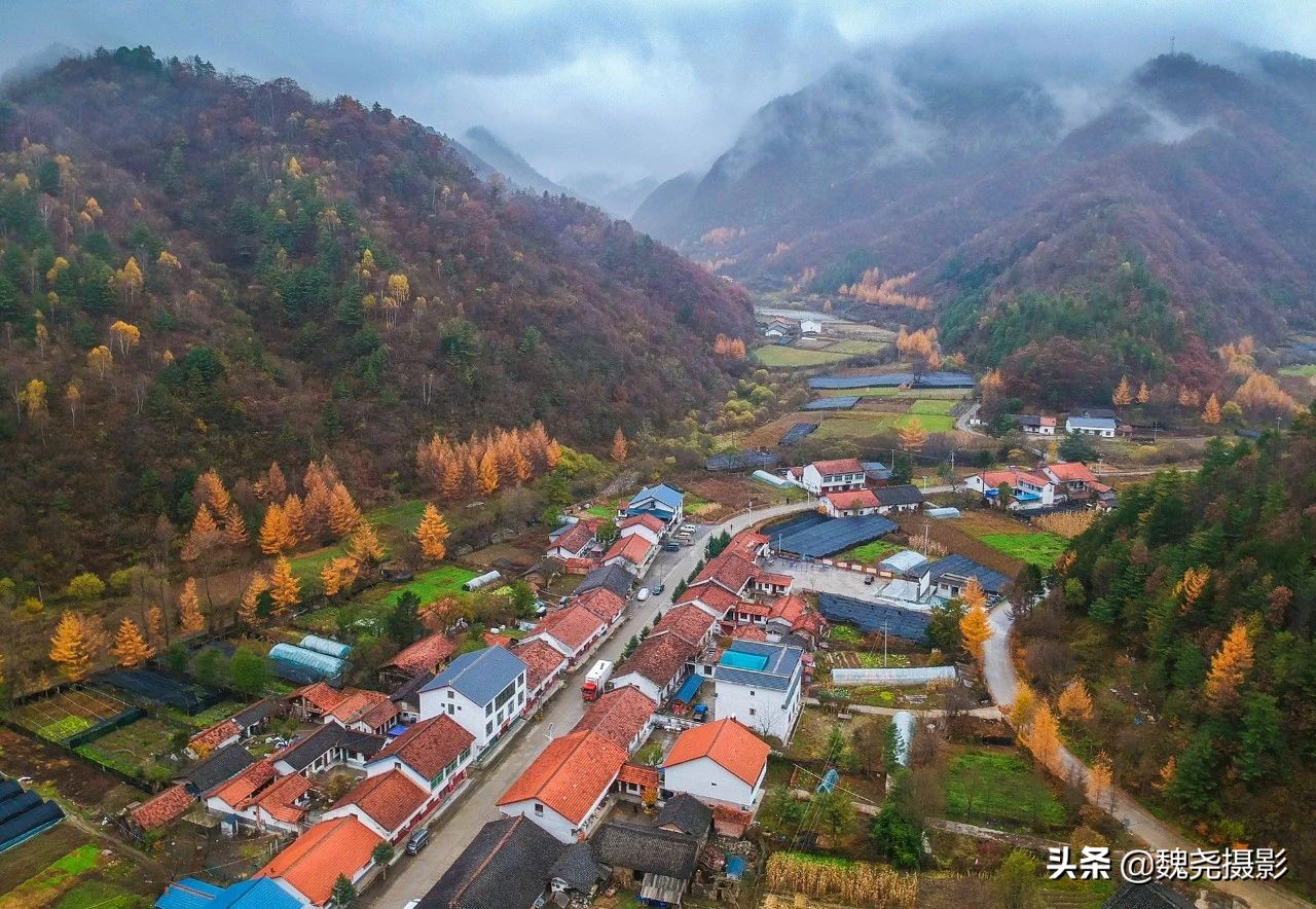 留坝秦岭之夜,留坝秦岭森林公园