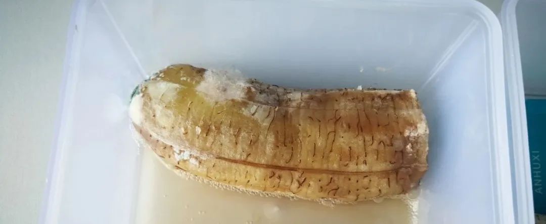 二氧化氯空气净化凝胶有效果吗,二氧化氯空气净化凝胶副作用