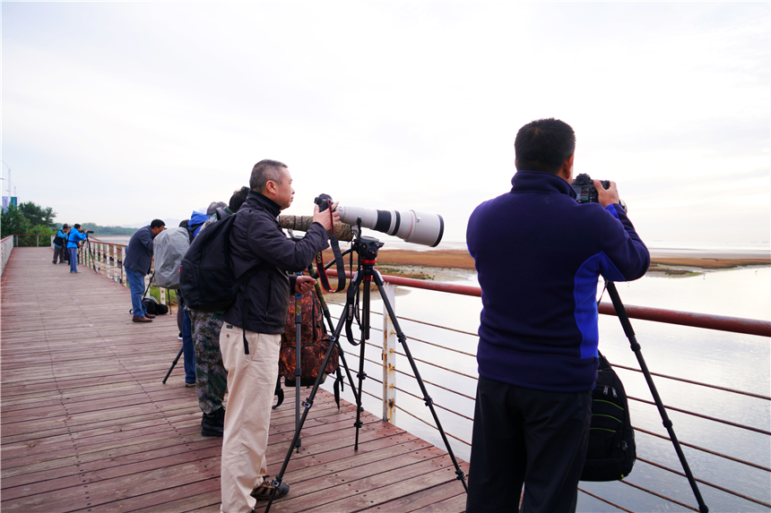 河北最宜居的城市有哪几个,河北最宜居的城市是哪个