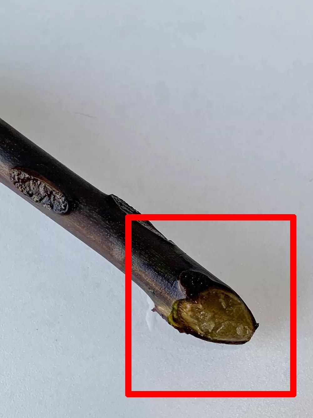 网上买东西怎么交智商税,网上买的智商税产品