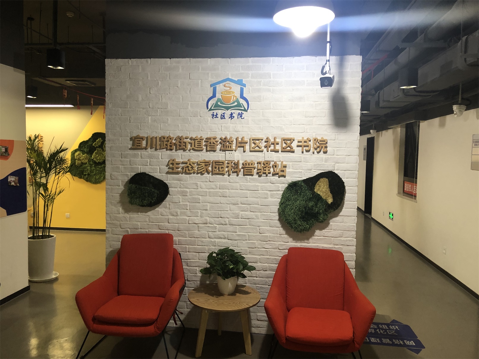 围棋徐虹白,徐虹白