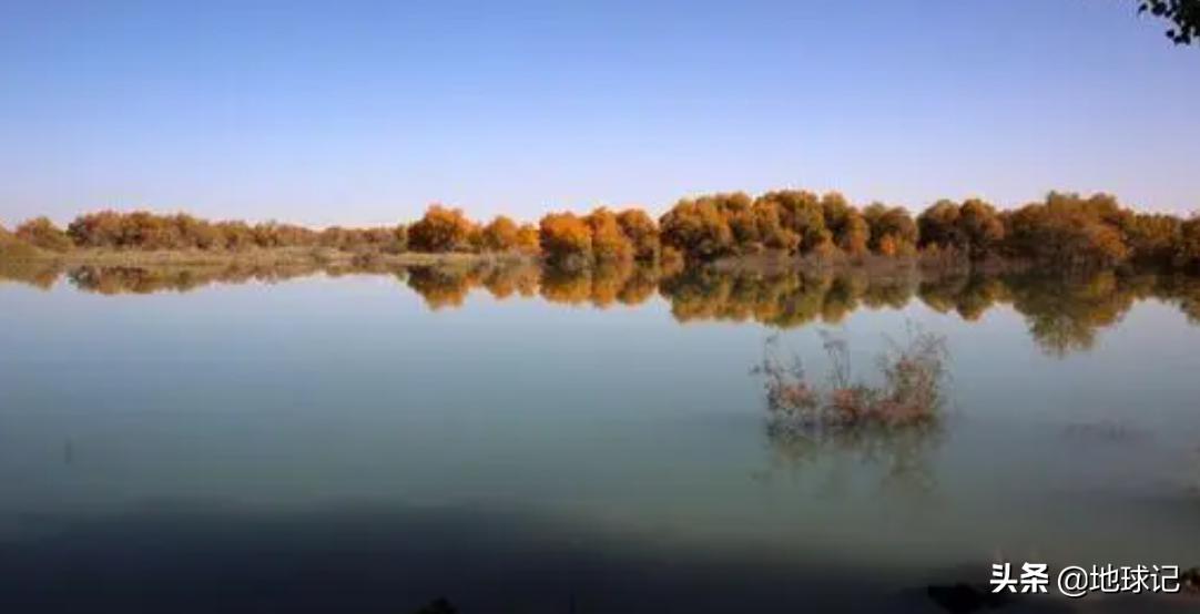 *疆新**:随着环境慢慢变好,*疆新**正在迎来复苏,该不该人工干预