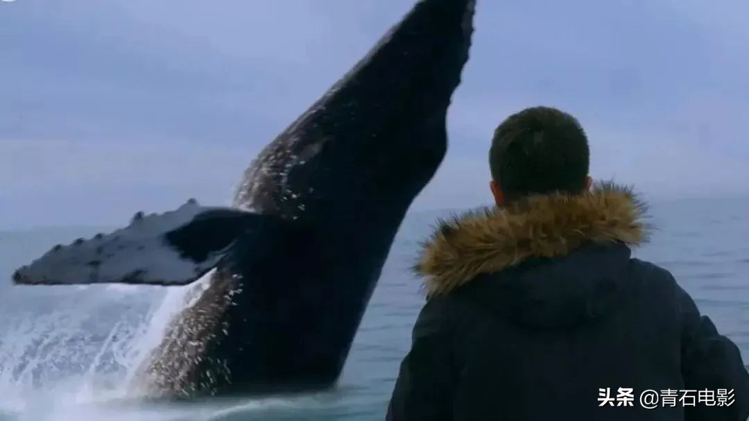 只有芸知道冯小刚演技,只有芸知道冯小刚哭