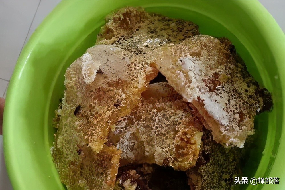 土蜂蜜100元一斤没人买,中华蜂土蜂蜜100%纯蜂蜜