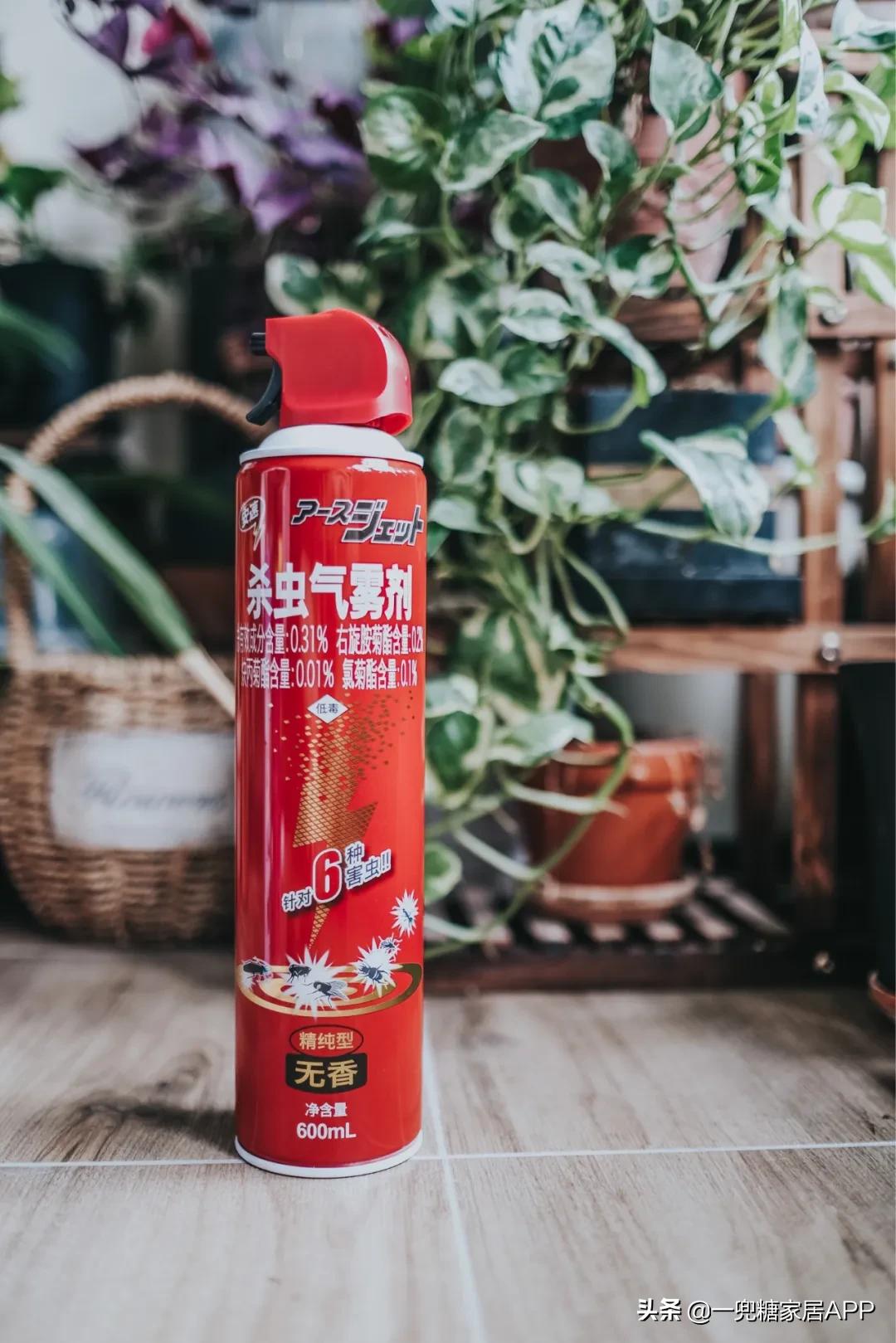 灭蚊蝇蟑螂买什么最有效,黑科技驱蚊驱蟑神器