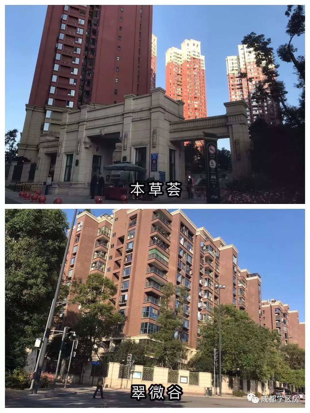 天府新区私立小学招生简章,天府新区第六小学对应初中