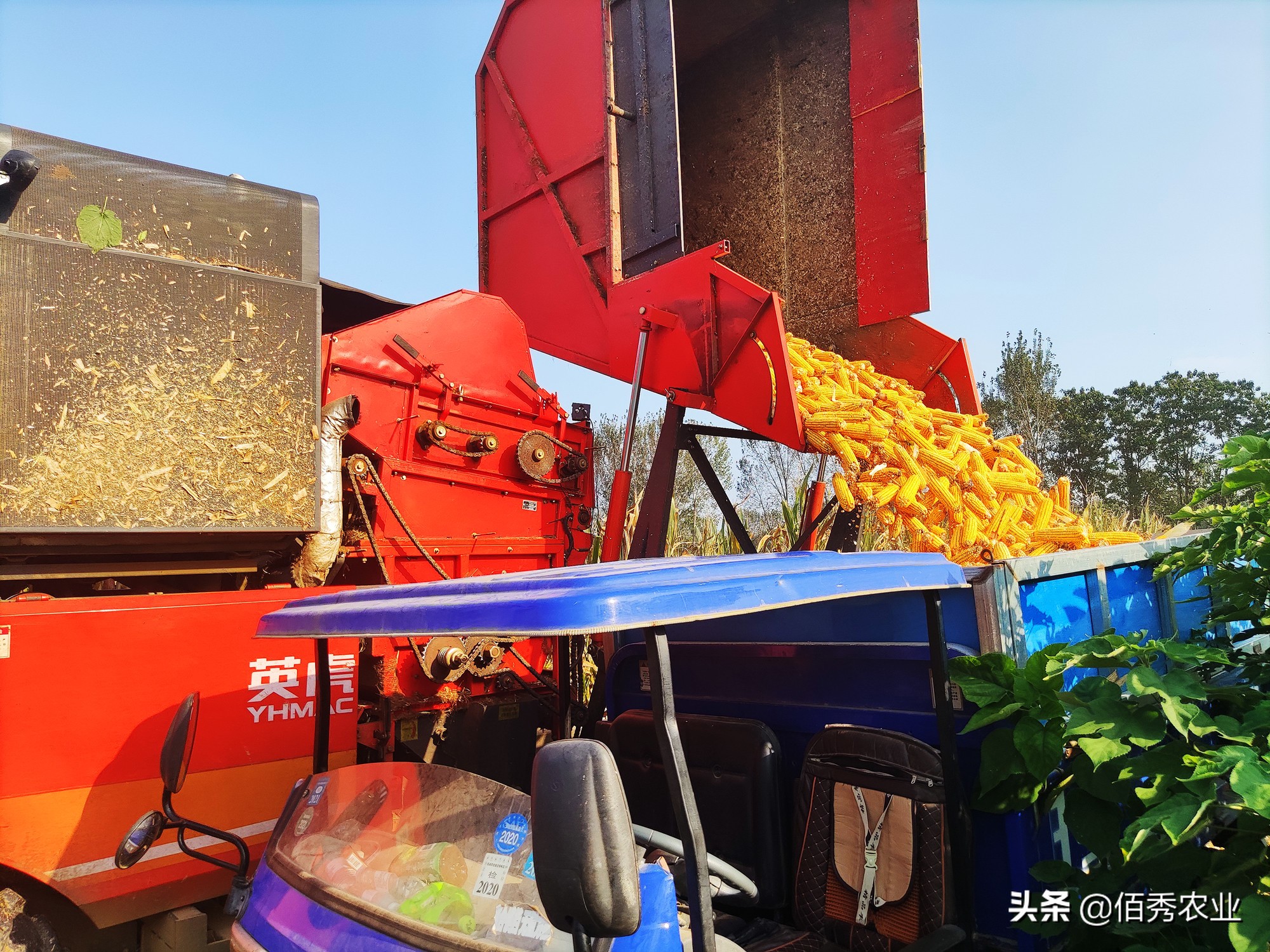 现在农村承包200亩地种玉米能行吗,承包土地种玉米收入咋样