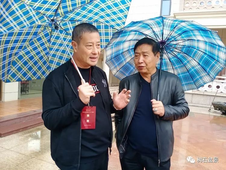 伟大使命复兴中国盆景艺术事业——2019中盆会大事回顾(下篇)