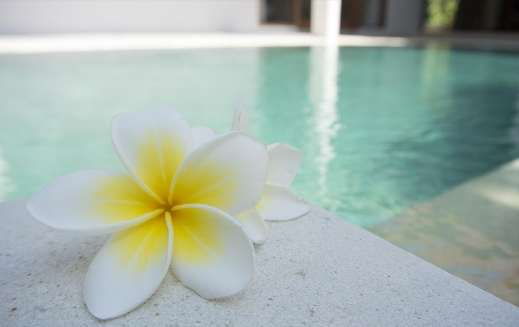 从化温泉独立泡温泉,从化温泉哪里有真温泉