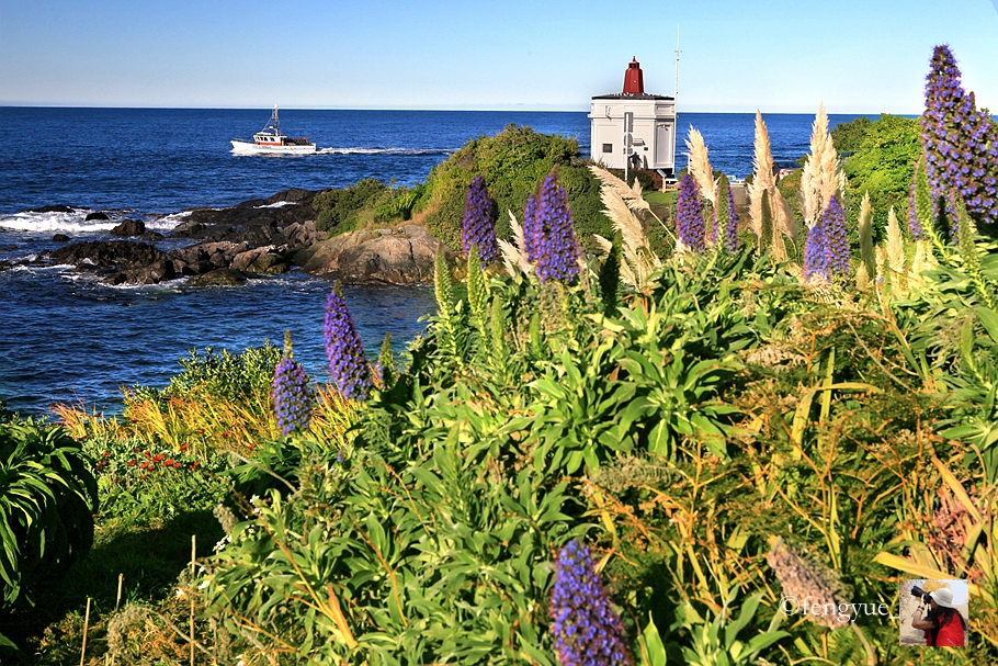 新西兰有哪些景观,新西兰风景最好的地方在哪里