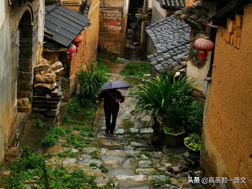 普洱茶有什么危害,为什么很多人不喝普洱茶