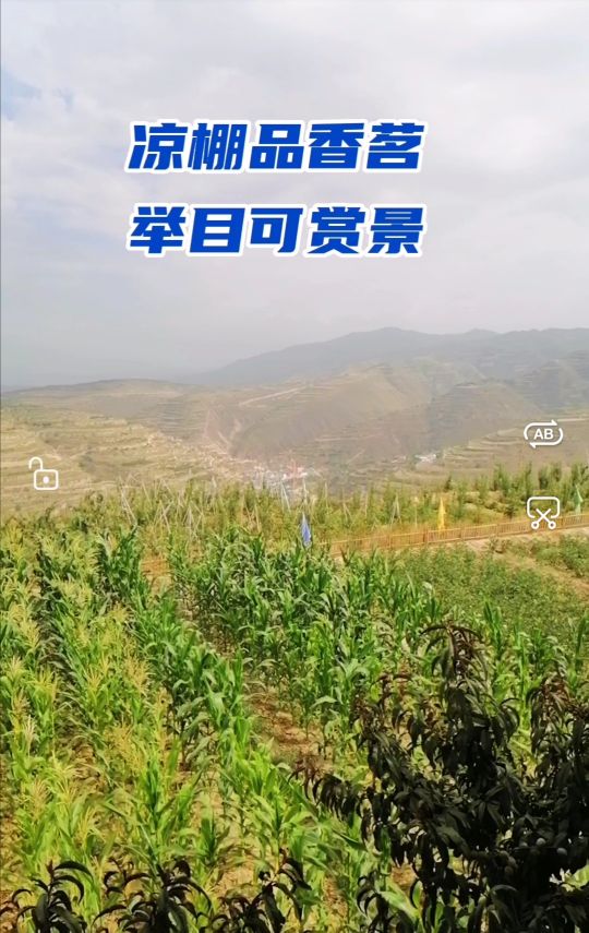 西固公园生态园,兰州周边生态园推荐