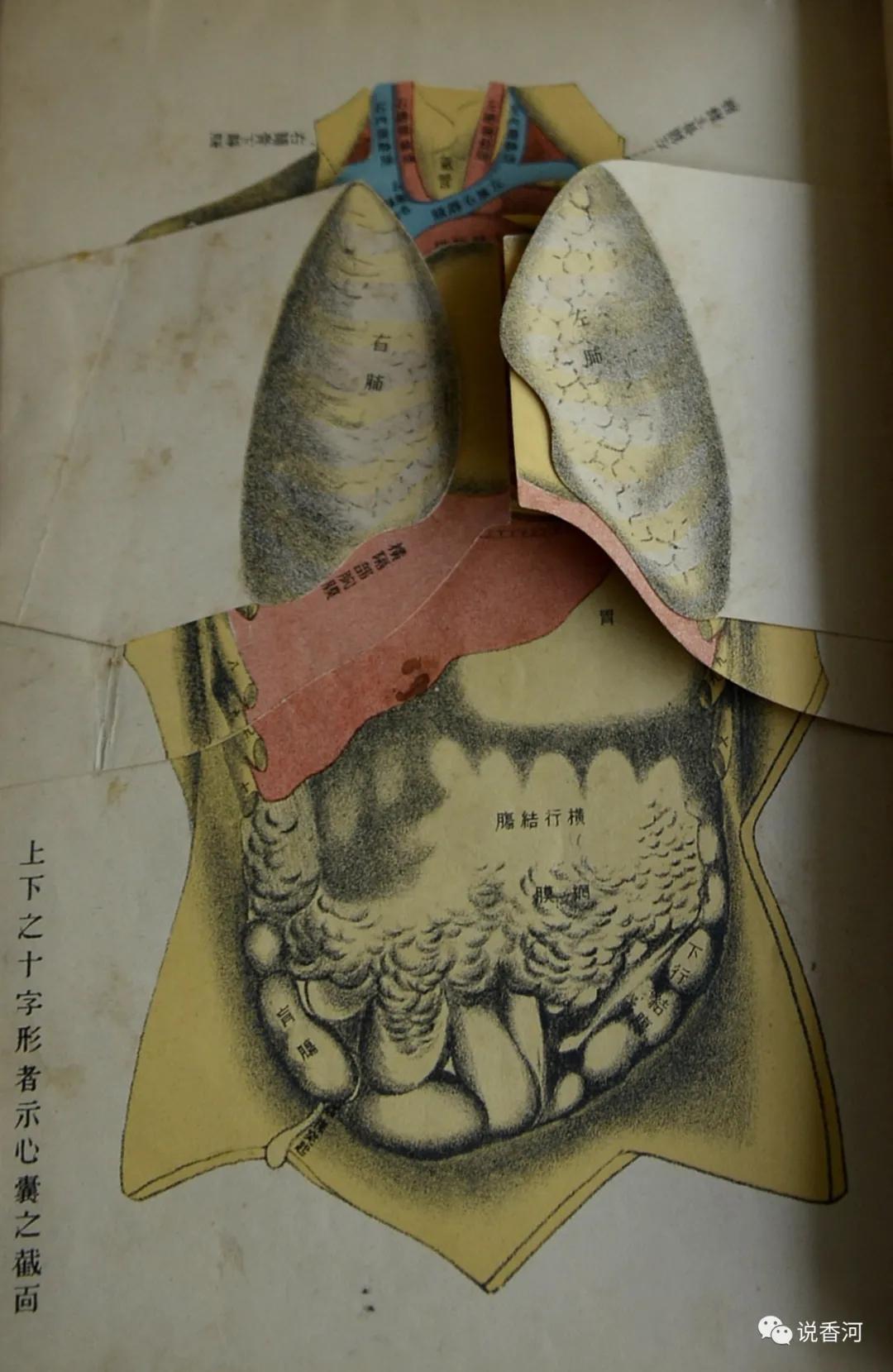 我心目中的白衣天使400字,我心目中的医护人