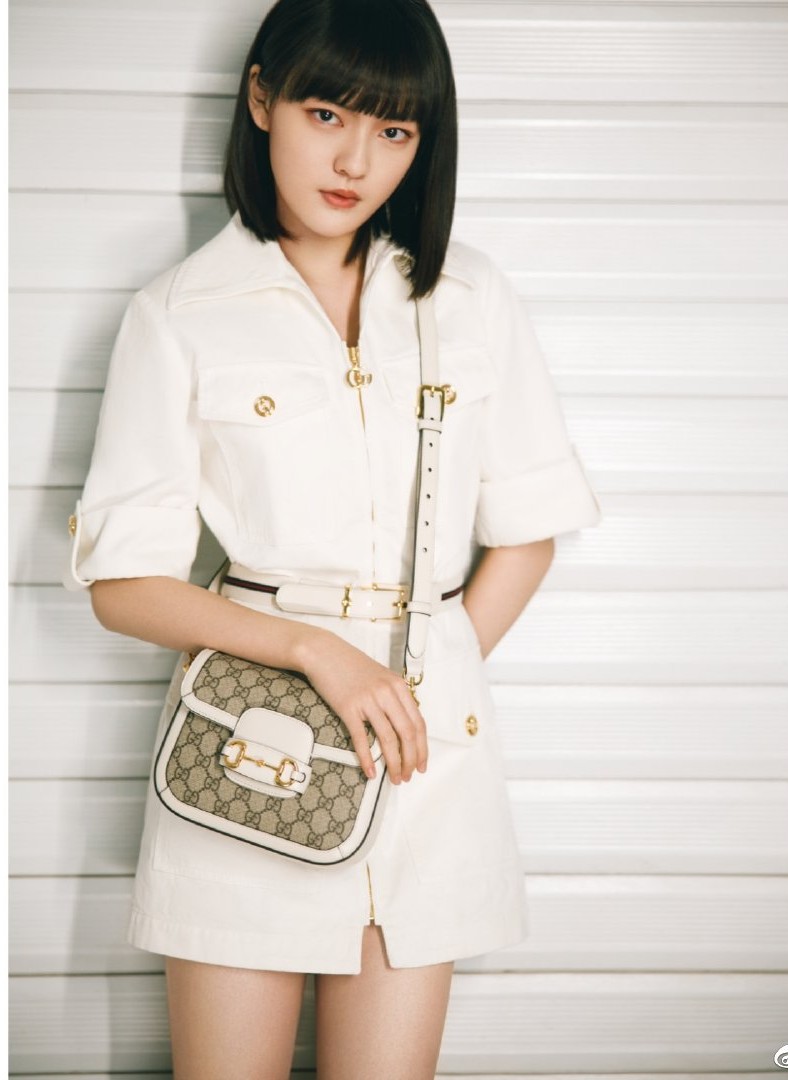 孙怡新款gucci,孙怡手袋