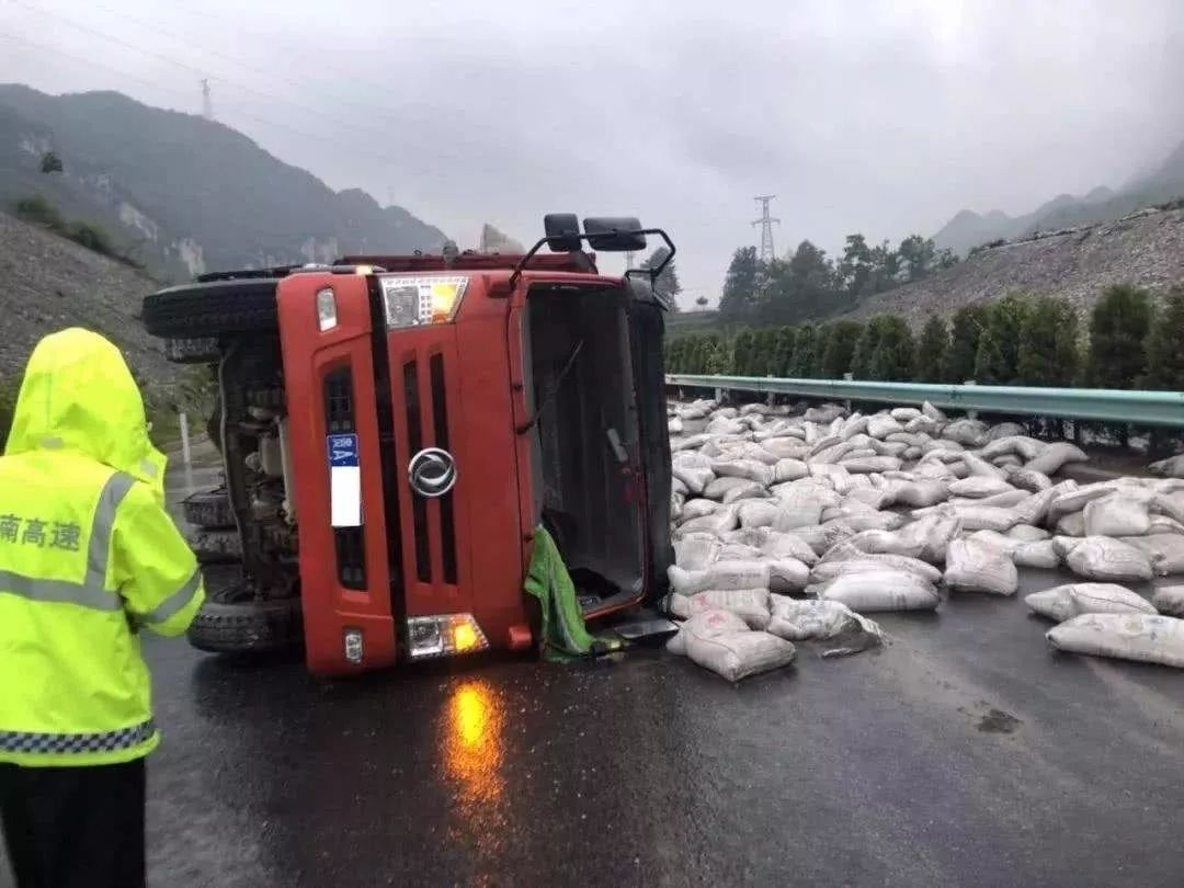 开车无意撞到了小动物该怎么处理,开车行驶撞到动物如何处理
