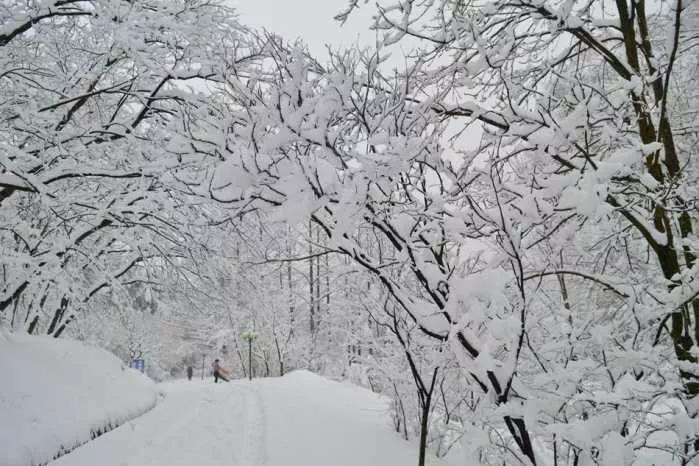 重阳节天气好坏对冬季有影响吗,今年重阳节晴预示明年是涝还是旱
