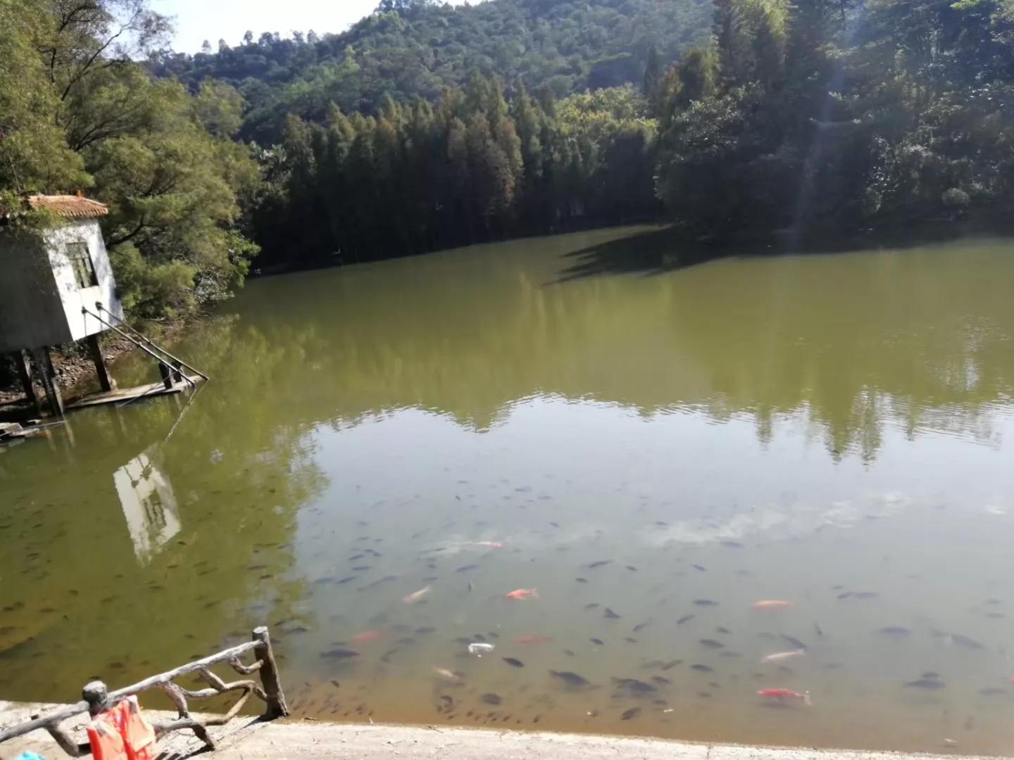 番禺南站旅游攻略,广州3号线地铁番禺旅游攻略