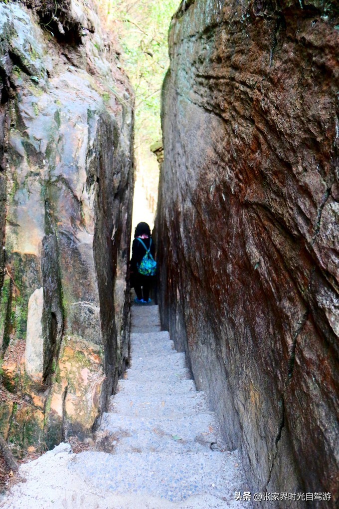 张家界森林公园亲子游攻略,张家界旅游攻略现在张家界气温