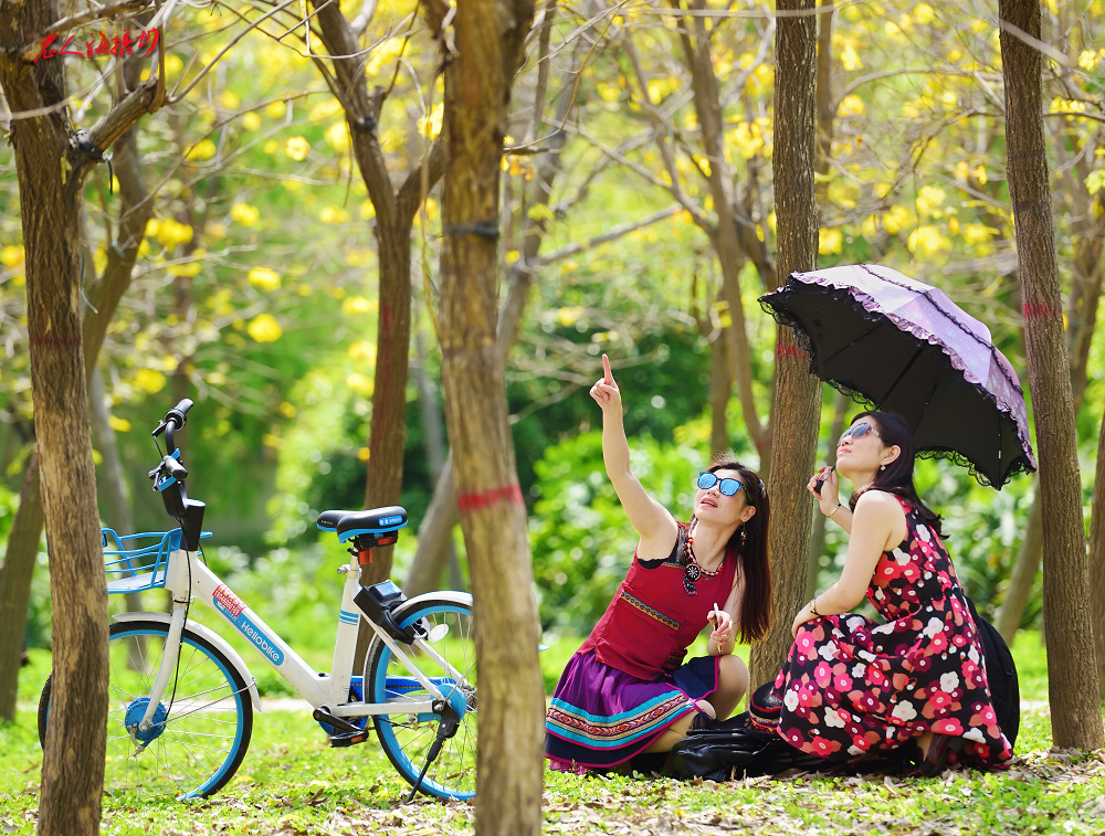 一春芳意，三月如风，日长风静，花影闲相照。
