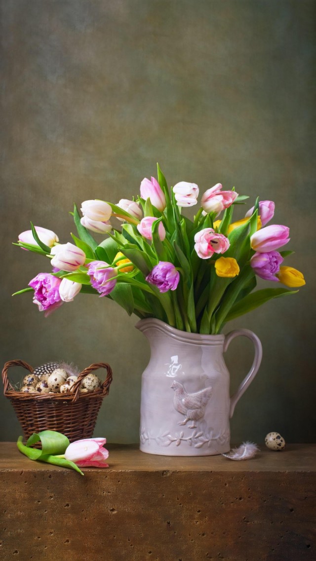 足球回看欧洲杯,足球集训归来