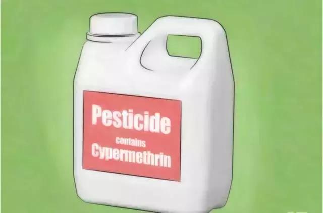 灭蟑螂最好的方法最快的,灭蟑螂最好的方法最有效