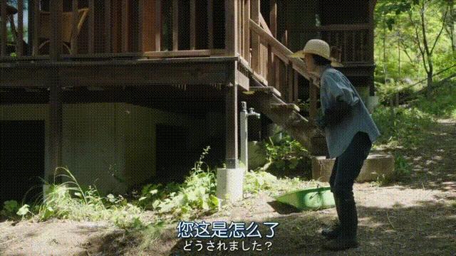 56岁阿姨独居2层别墅，不结婚不生娃，靠另类日式风圈粉无数人