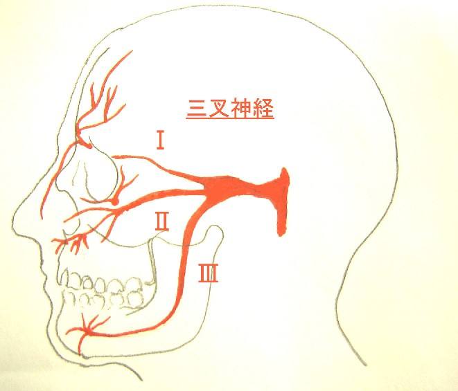 三叉神经痛有高龄老人吃的药吗,老人三叉神经脸部疼痛